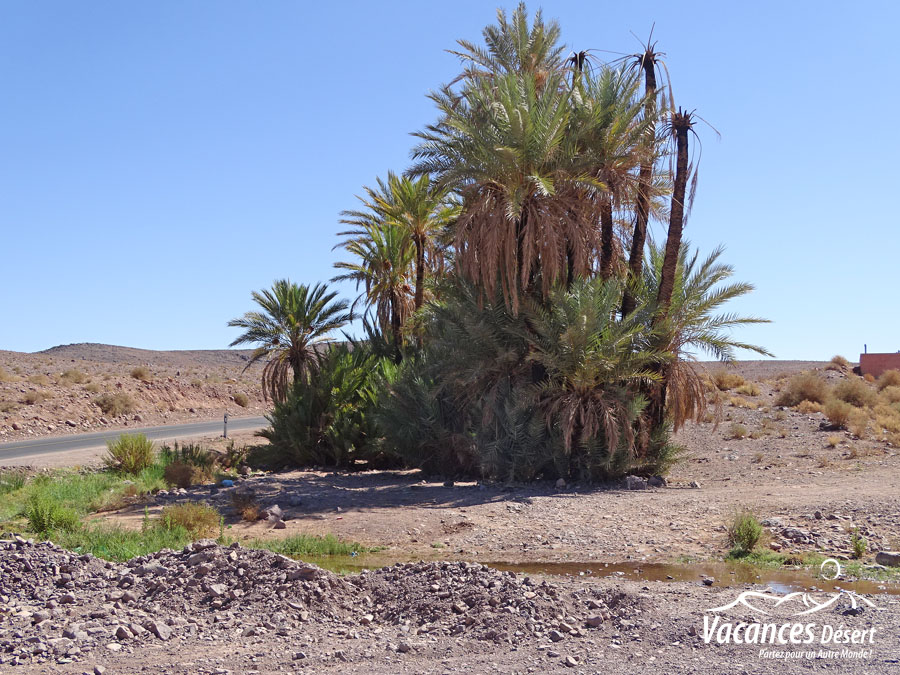 Tout savoir avant de partir dans le désert marocain